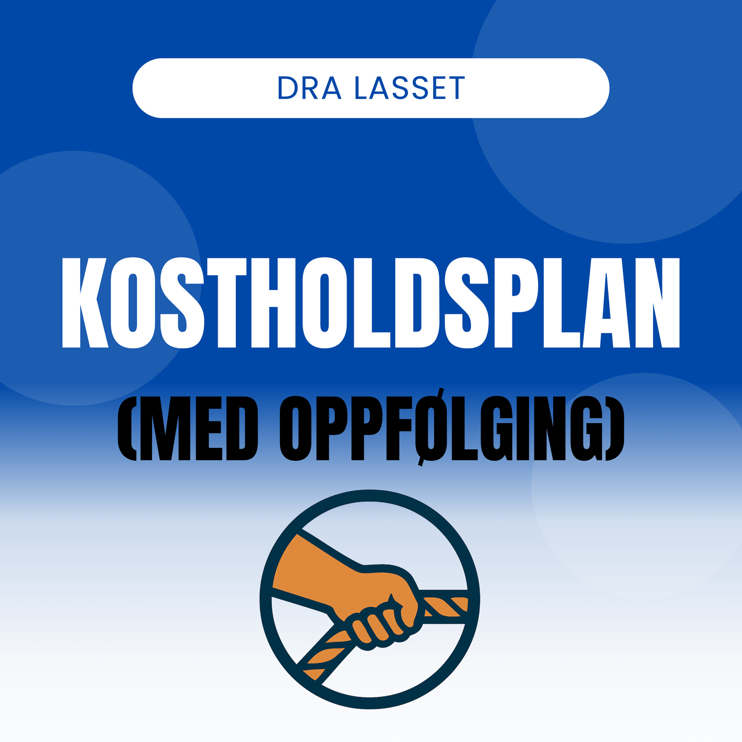 Kostholdsplan (med oppfølging)